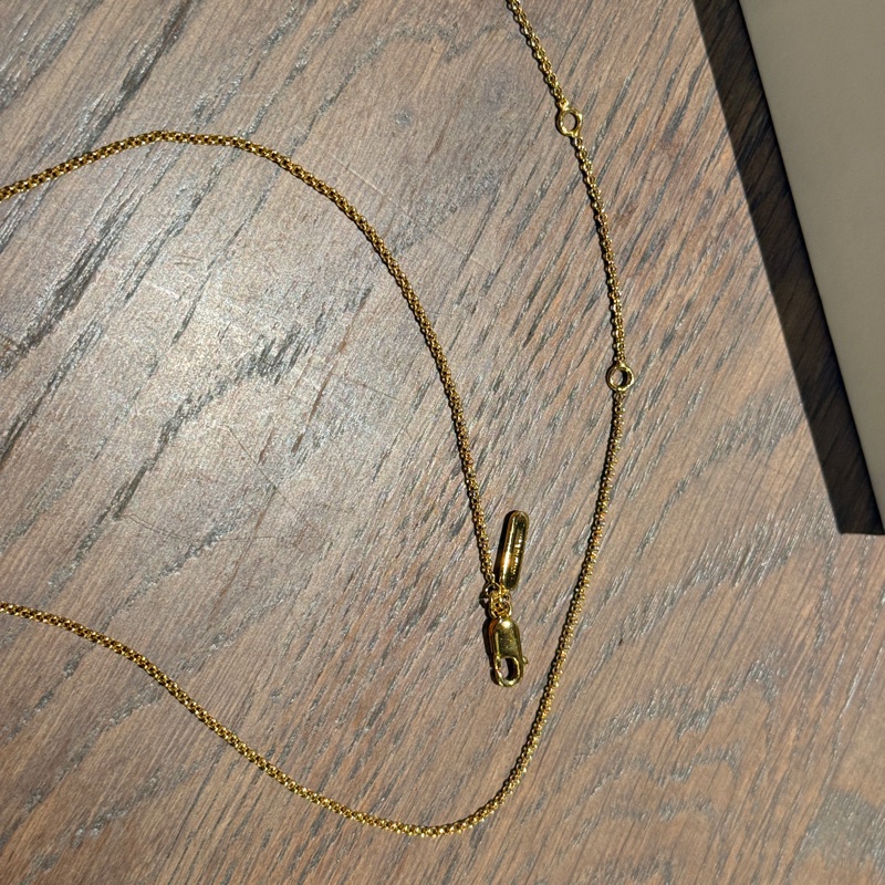 造型太美了 真的美的Chloe金色項鍊-4