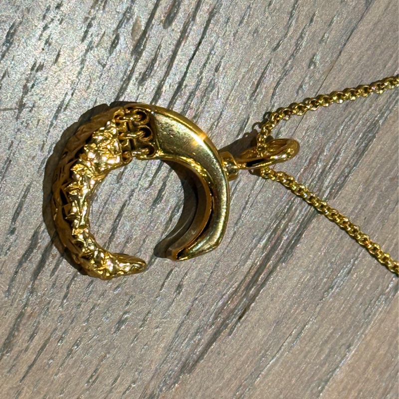 造型太美了 真的美的Chloe金色項鍊-8