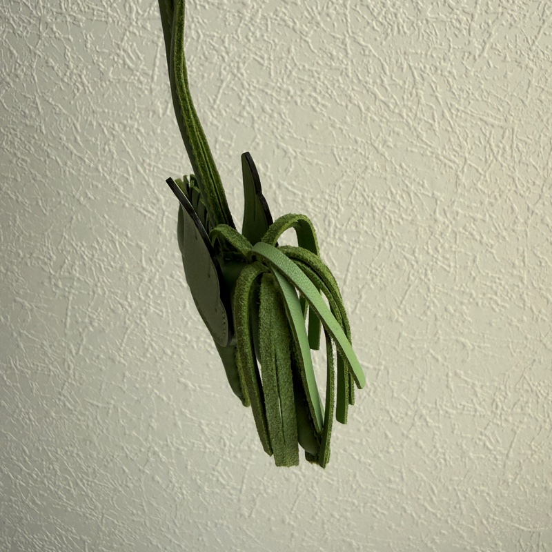 Hermes 牛油果綠小馬🐎-5