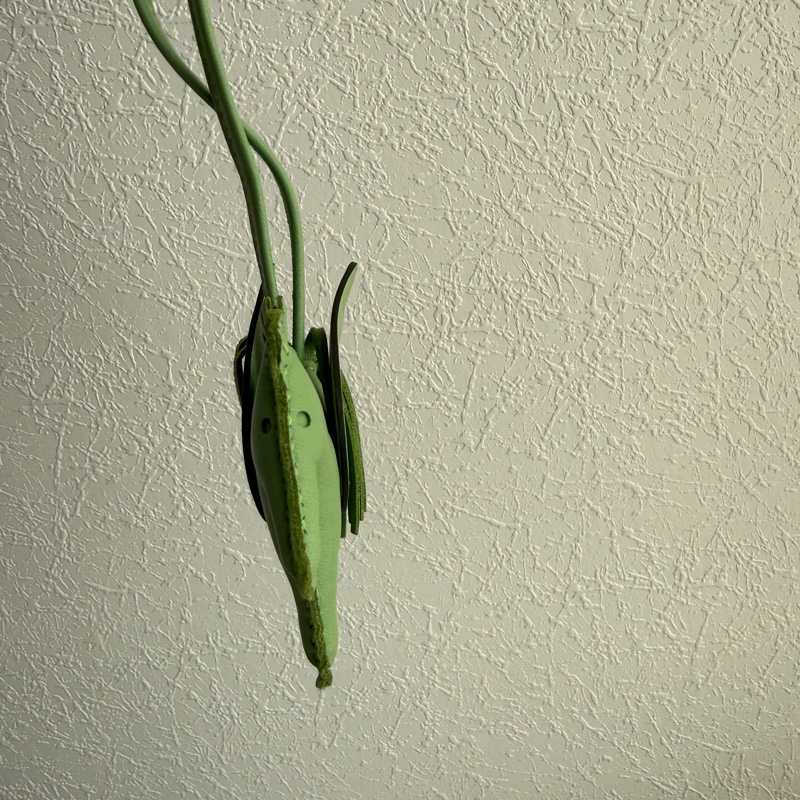 Hermes 牛油果綠小馬🐎-6