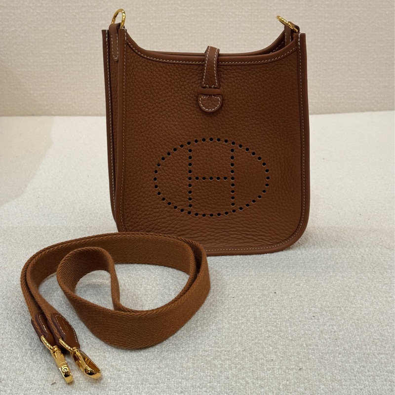 Hermes mini Evelyne-1
