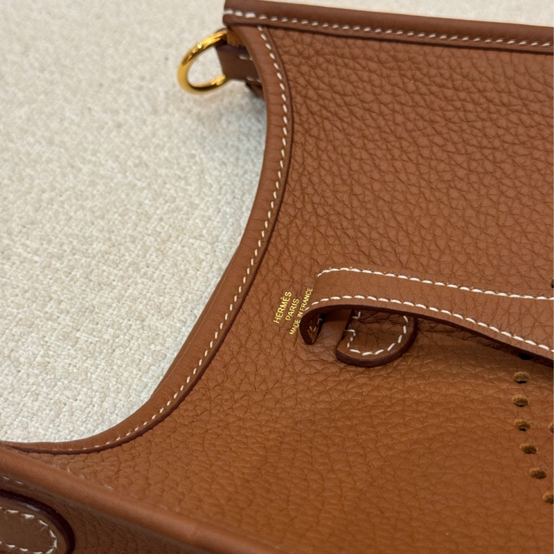 Hermes mini Evelyne-6