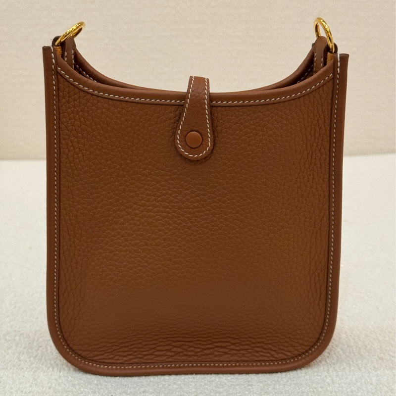 Hermes mini Evelyne-11