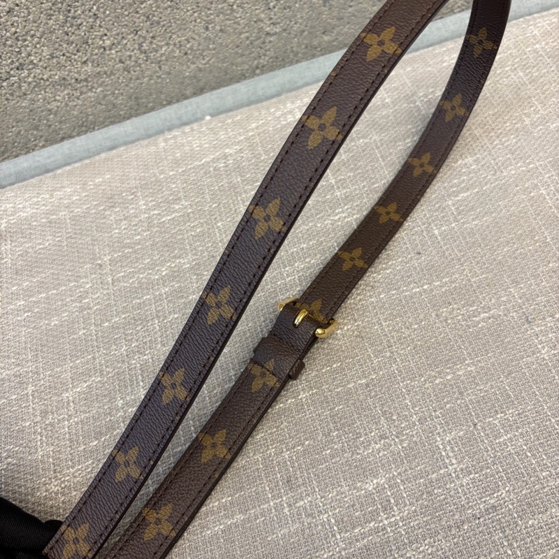 LV/路易威登 郵差包 21年編碼 無附件：肩帶 尺寸：25*19cm（0271）98新-6
