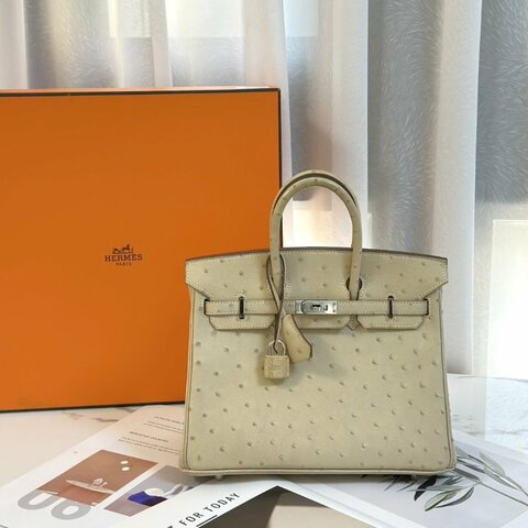HERMES Birkin 25 - 鴕鳥皮羊毛白銀 🄾