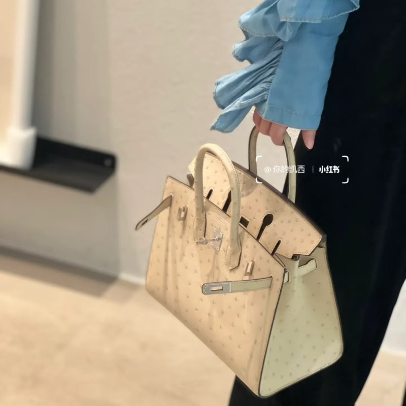 HERMES Birkin 25 - 鴕鳥皮羊毛白銀 🄾-1