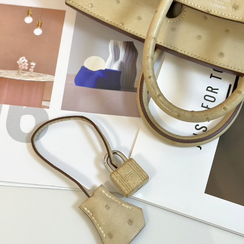 HERMES Birkin 25 - 鴕鳥皮羊毛白銀 🄾-4