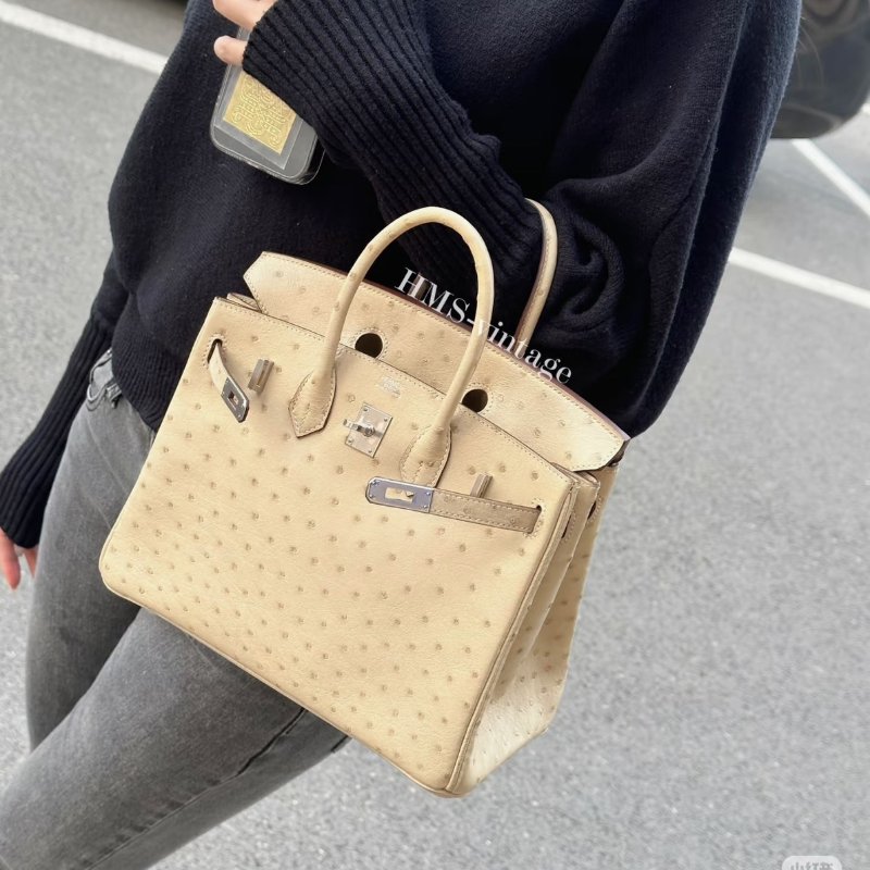 HERMES Birkin 25 - 鴕鳥皮羊毛白銀 🄾-8