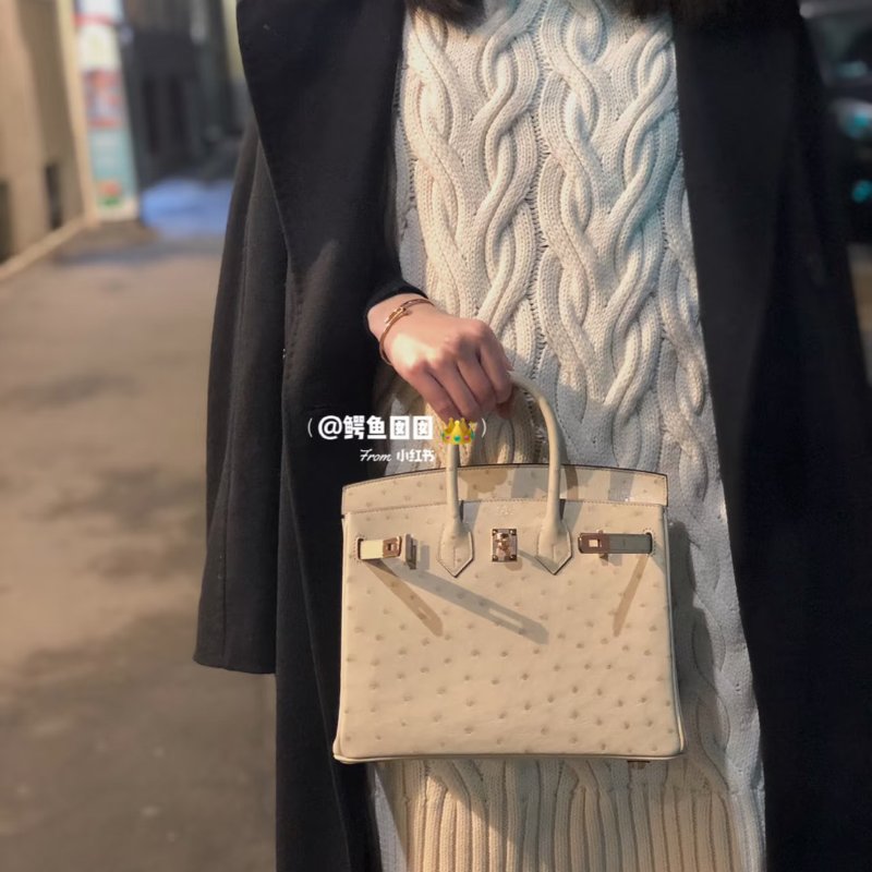 HERMES Birkin 25 - 鴕鳥皮羊毛白銀 🄾-9