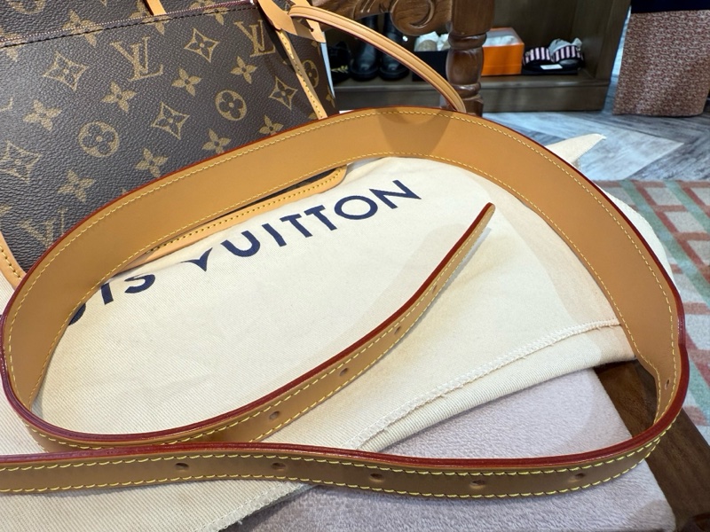 LV 老花Carryall小号 芯片款-9