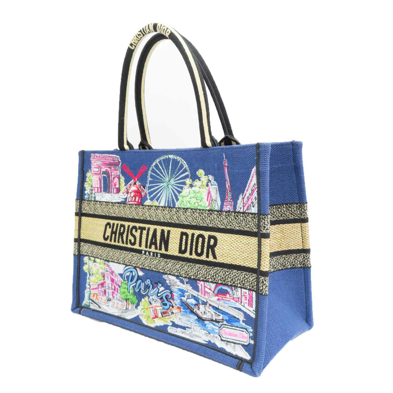 藍色 多色刺繡帆布 Book Tote M 手提包【Dior 迪奧】-2