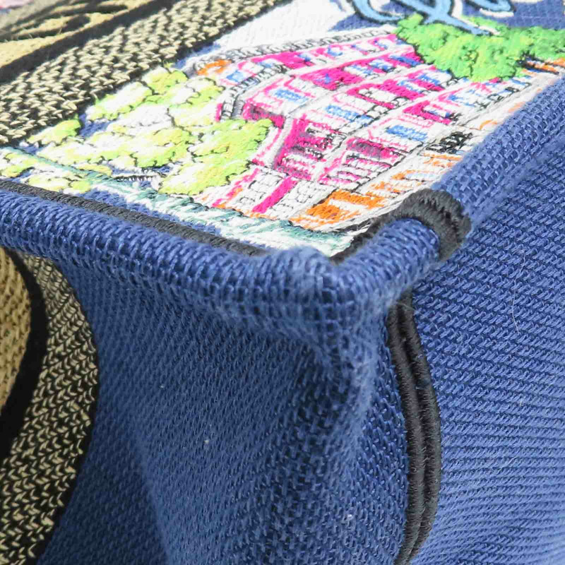 藍色 多色刺繡帆布 Book Tote M 手提包【Dior 迪奧】-9