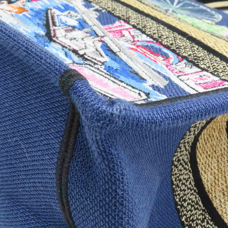 藍色 多色刺繡帆布 Book Tote M 手提包【Dior 迪奧】-12