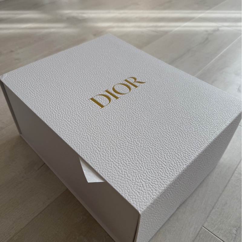 Lady Dior 小型包款 奶茶色-21