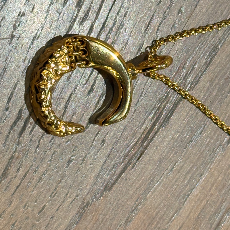 造型太美了 真的很美的Chloe金色項鍊-3