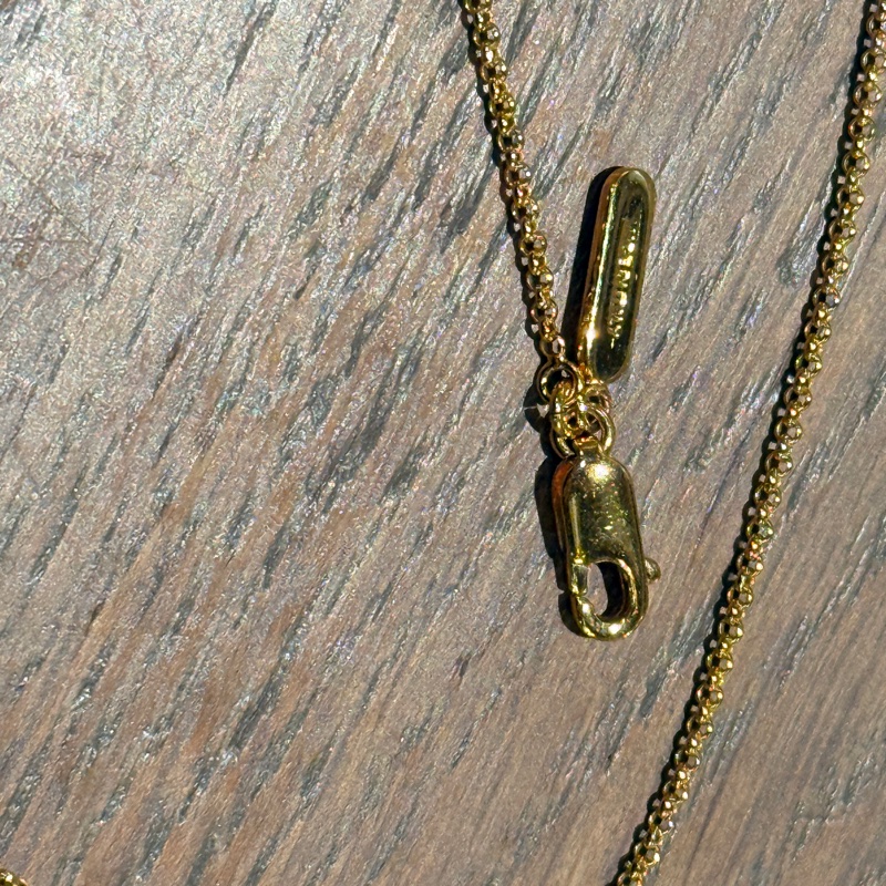 造型太美了 真的很美的Chloe金色項鍊-6