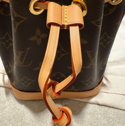 Louis Vuitton Nano Noé 水桶包-12