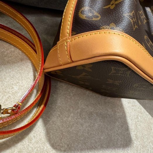 Louis Vuitton Nano Noé 水桶包-18