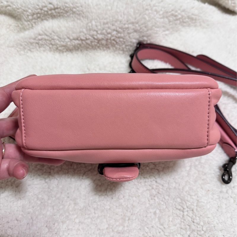 Coach pillow tabby-3