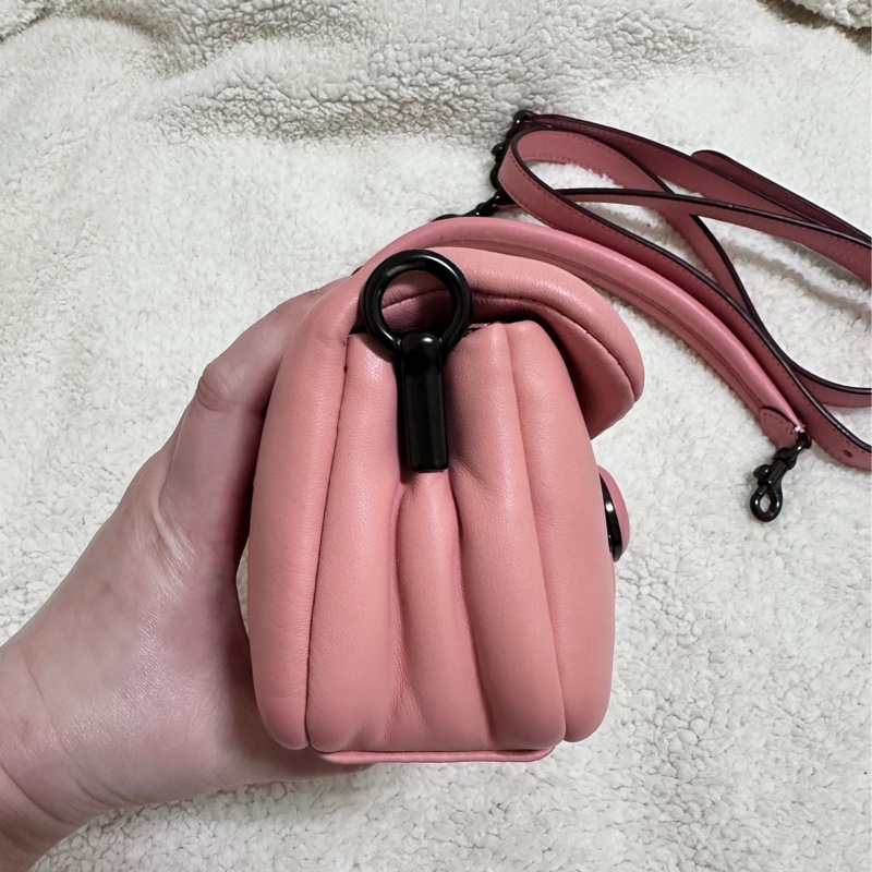 Coach pillow tabby-4