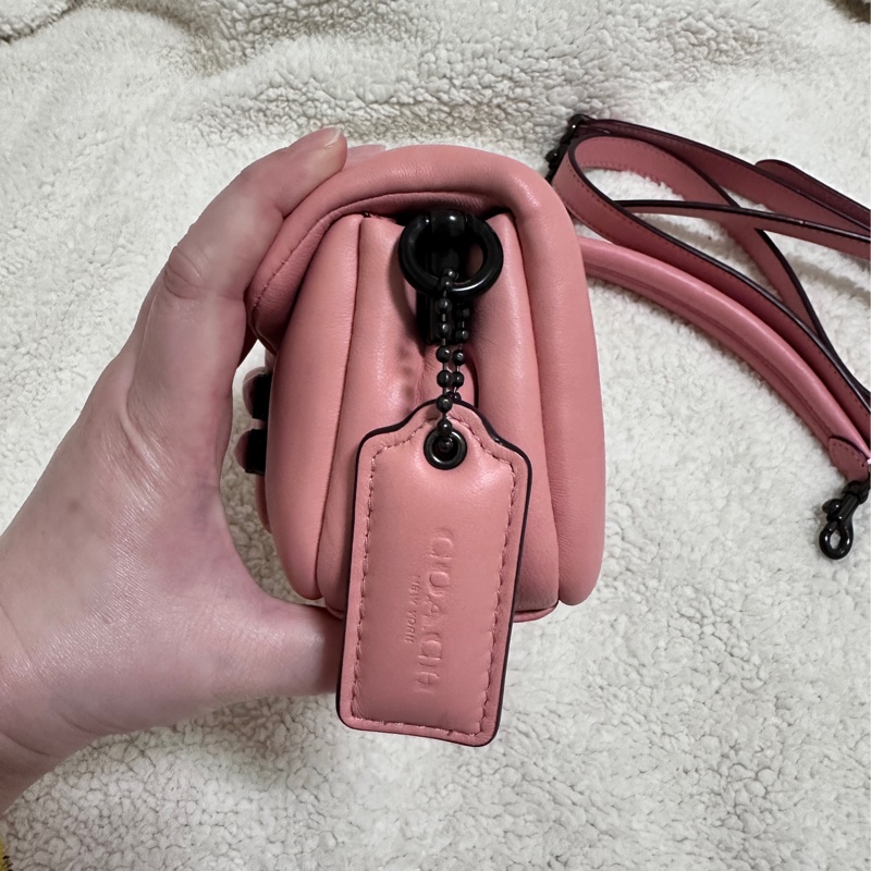 Coach pillow tabby-5