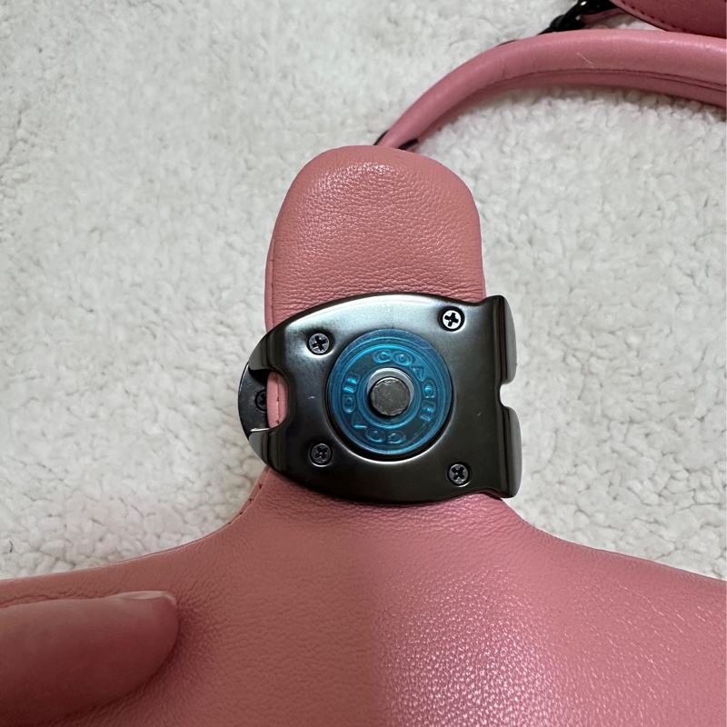 Coach pillow tabby-6