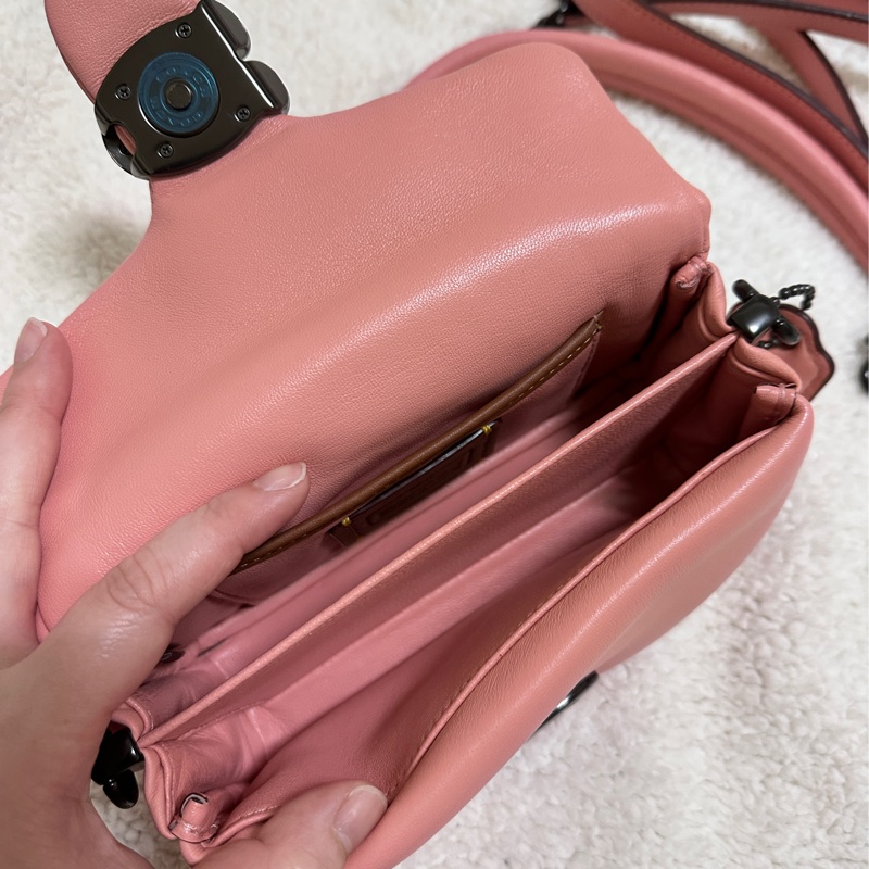 Coach pillow tabby-8