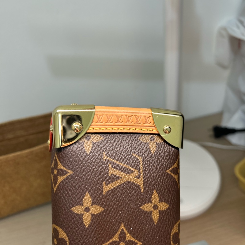 Louis Vuitton side trnk MM (23 cm)-14