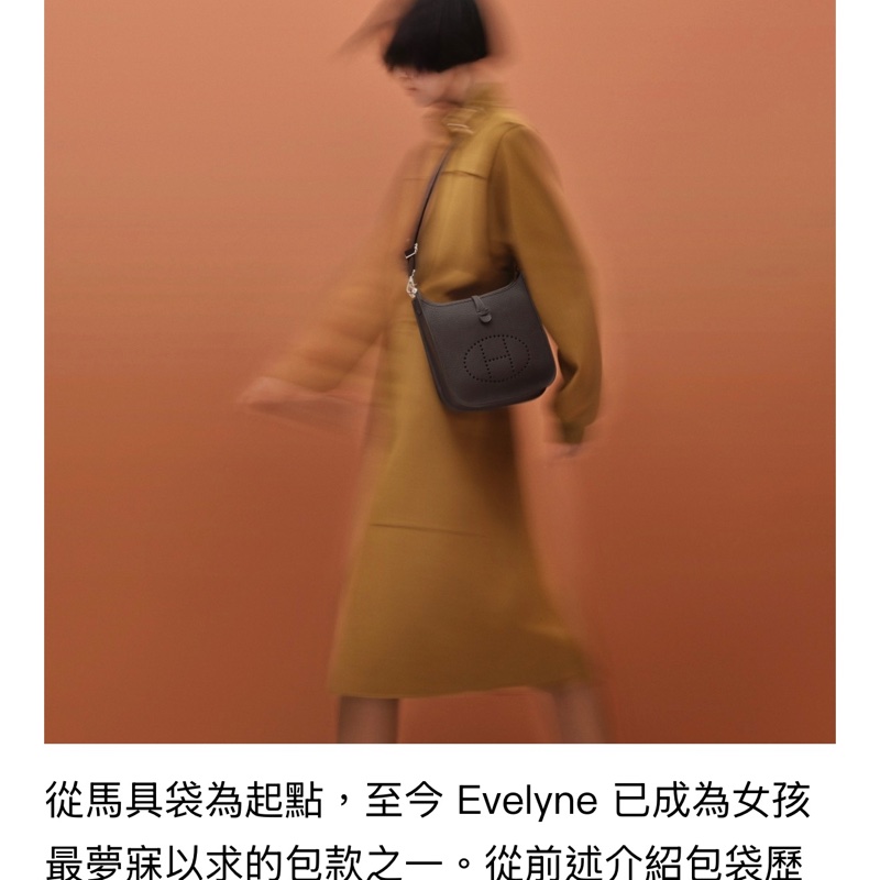 全新愛馬仕Evelyne 23 大象灰 金扣 購物單 Hermes-5