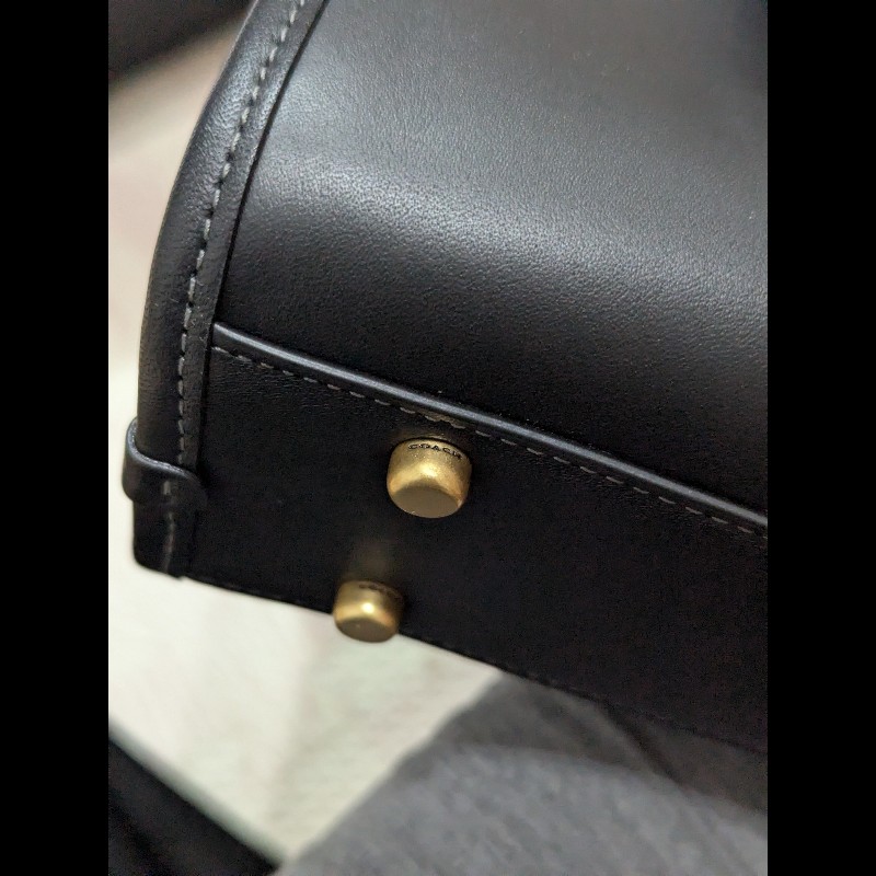 Coach SWING ZIP肩背包-3