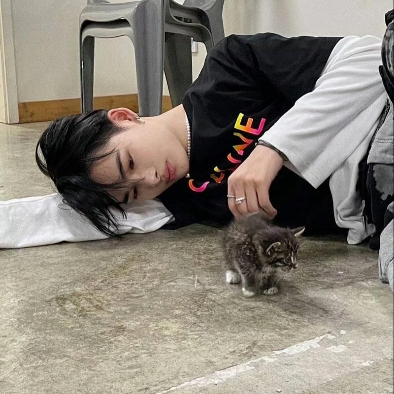 💎Han's house精品服飾💎CELINE T恤 短袖 短T-5