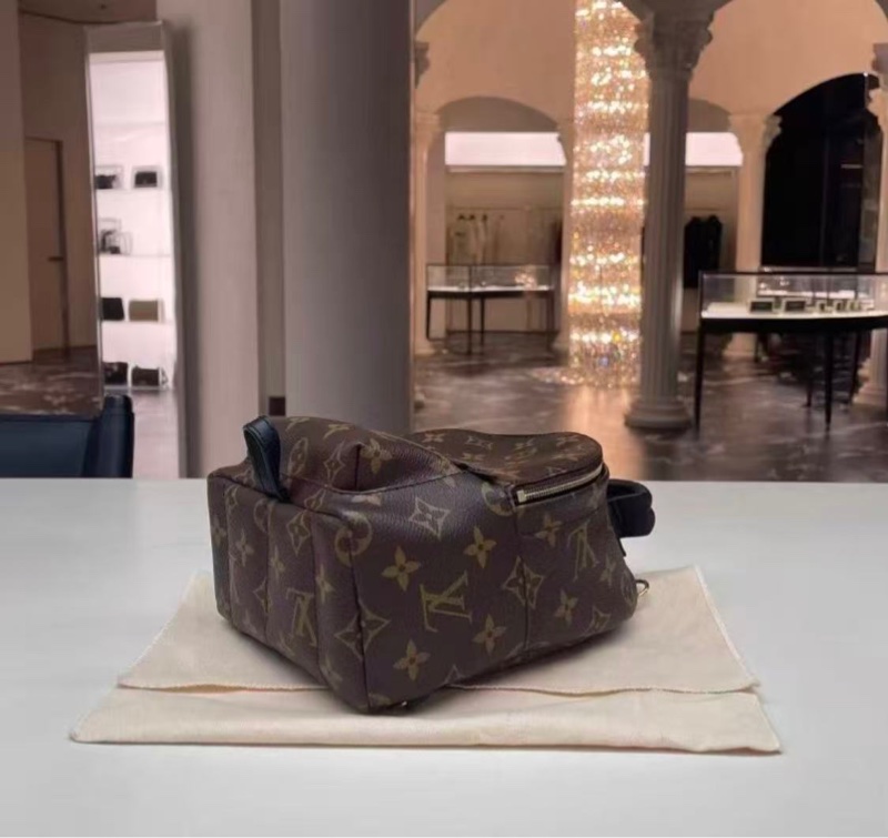 LV Palm Springs 小書包棕色老花 芯片款 全新配件-3