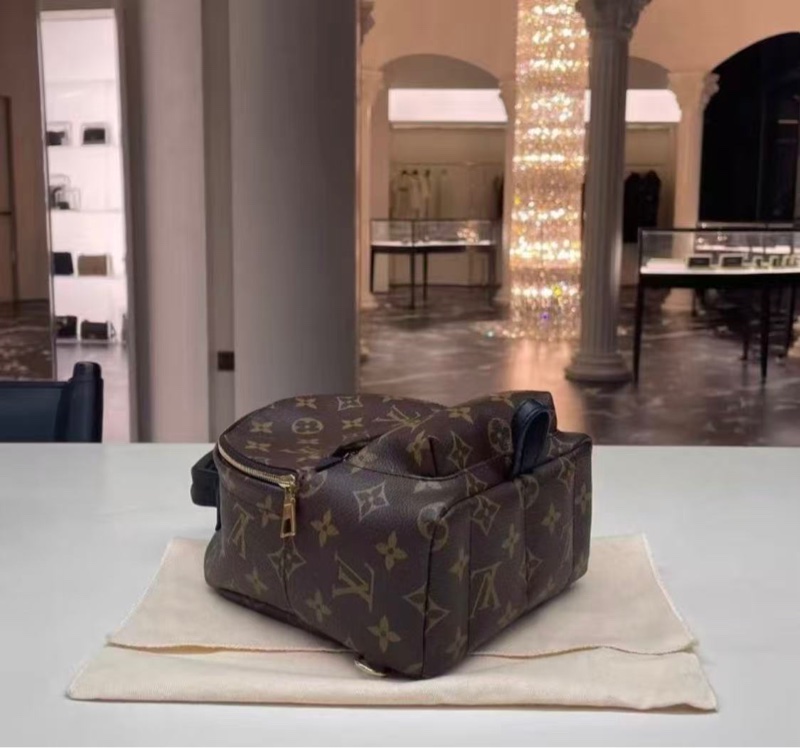 LV Palm Springs 小書包棕色老花 芯片款 全新配件-4
