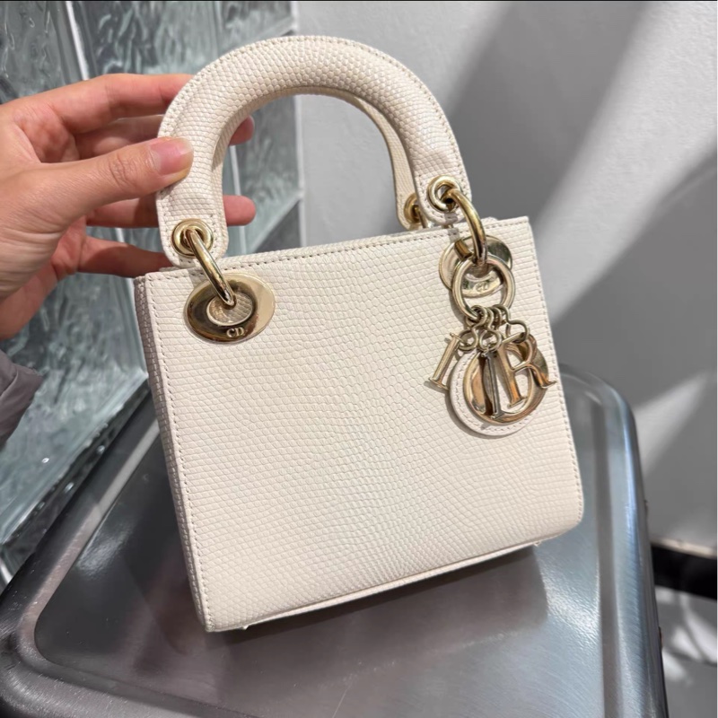 蜥蜴皮能背出Dior VIC效果的戴妃 98%新 白金-1