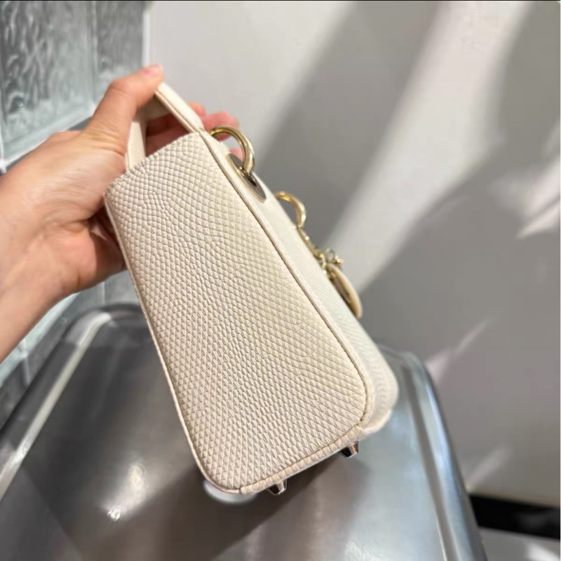 蜥蜴皮能背出Dior VIC效果的戴妃 98%新 白金-3