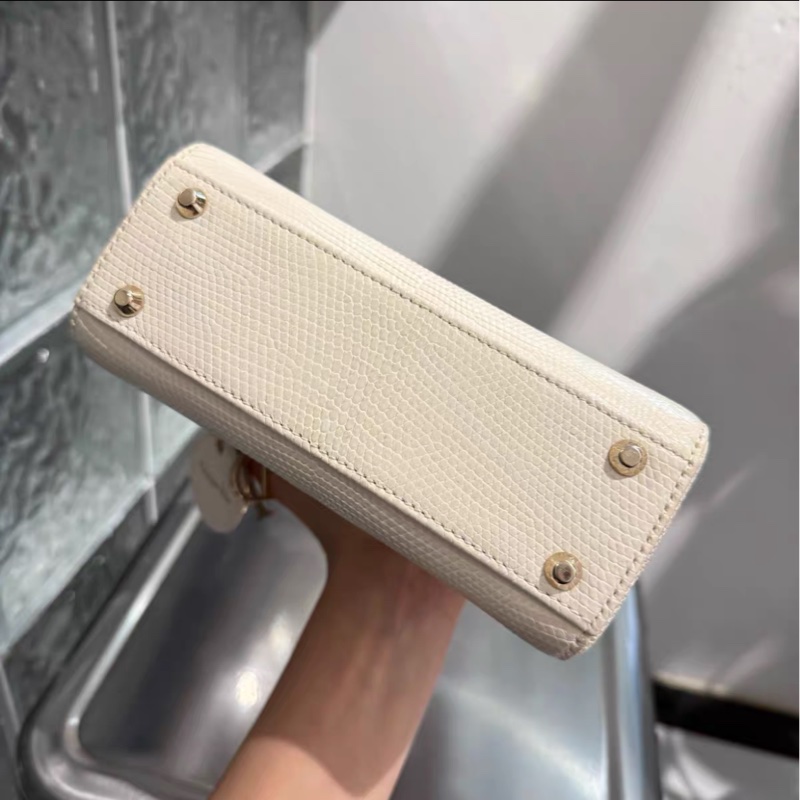 蜥蜴皮能背出Dior VIC效果的戴妃 98%新 白金-5