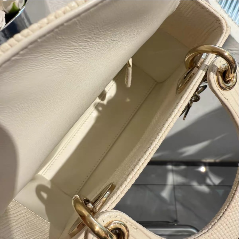 蜥蜴皮能背出Dior VIC效果的戴妃 98%新 白金-6