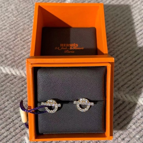 Hermes愛馬仕小Q玫瑰金滿鑽耳環，2024年購入