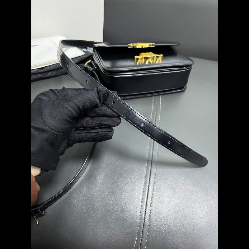 Celine teen box 黑金凱旋門-18