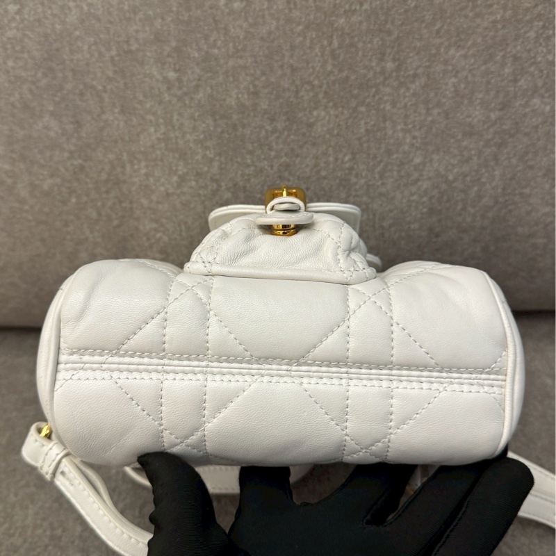 DIOR Caro 後背包-1