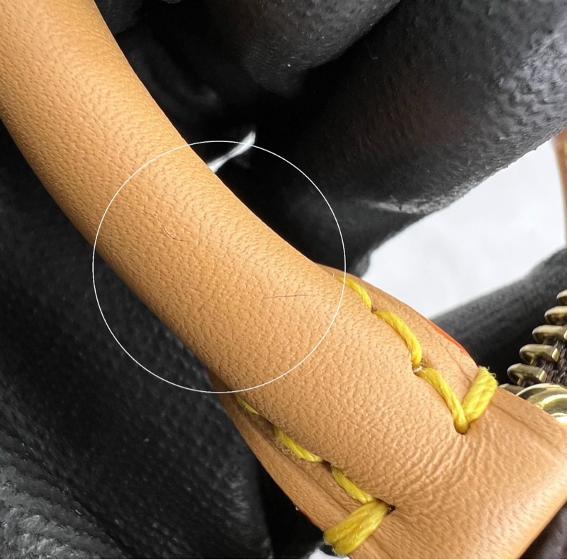 LV Nano Speedy 迷你枕頭包-13