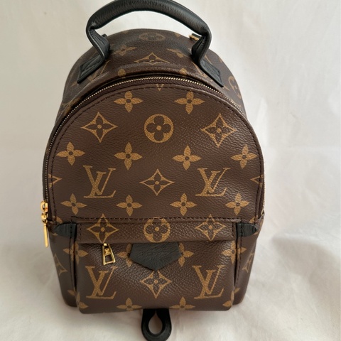 Louis Vuitton M44873小款後背包