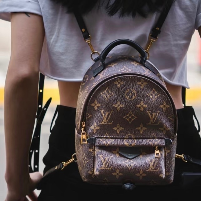 Louis Vuitton M44873小款後背包-5