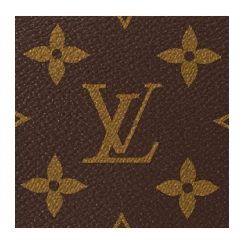 LOUIS VUITTON Loop Hobo M46311-17