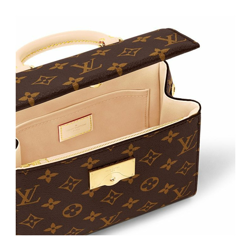 LOUIS VUITTON Cluny Mini Monogram M46055-3