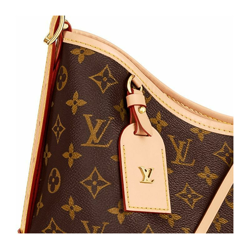 LOUIS VUITTON Carryall MM Monogram M46197-3