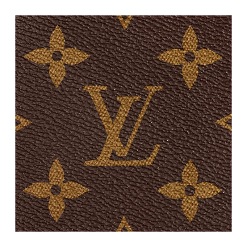 LOUIS VUITTON Carryall MM Monogram M46197-5
