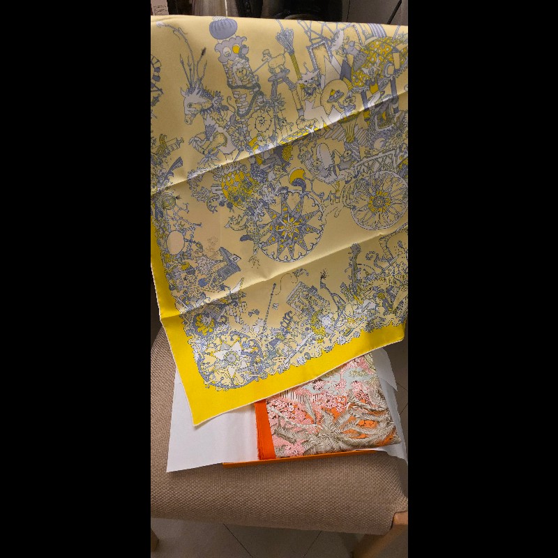 Hermes la folle parade 絲巾-12