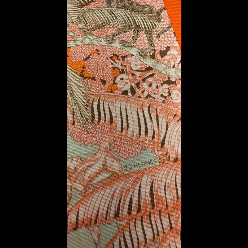 hermes tropical garden熱帶花園絲巾-25