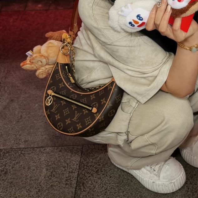 經典必收款✨限量好價🤑LvLoop經典老花碗豆包月亮包手提腋下包-6